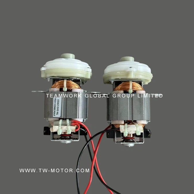 Electric Grinder Motor
